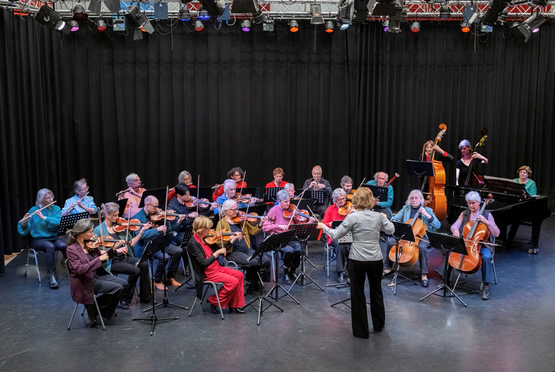 Globe Kamer Orkest