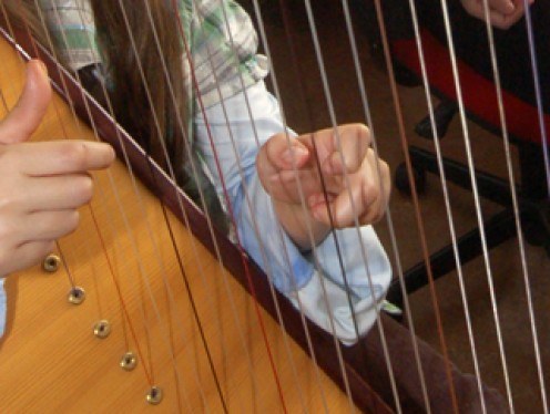 Harp voor volwassenen
